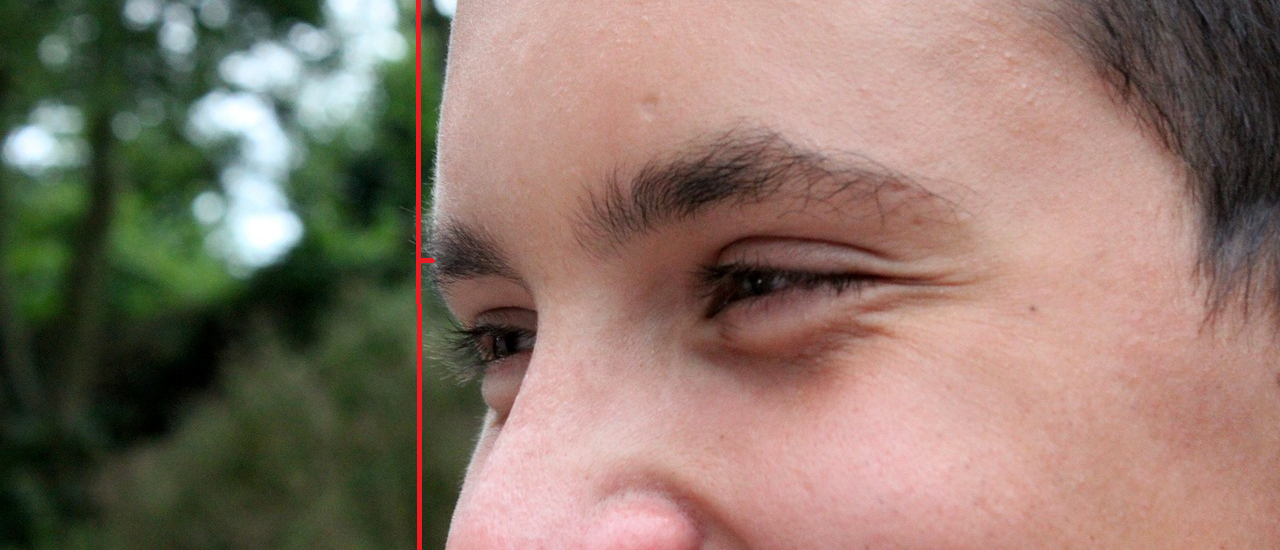 眉毛の骨格を横から見て最も出ている部分を示した画像